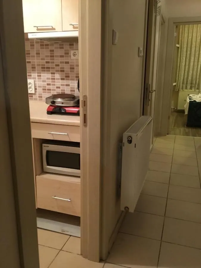 Sultanahmet Apart Hotel 伊斯坦布尔